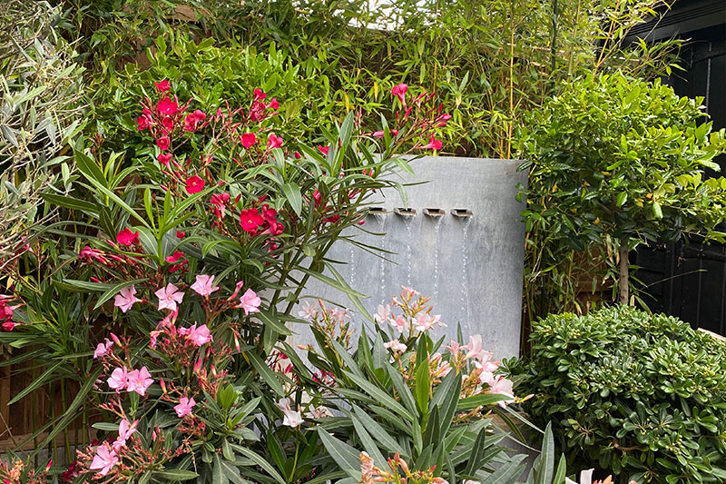 Oxshott garden design.jpg