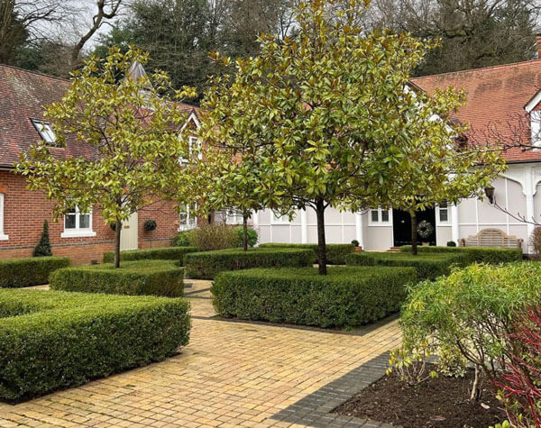 Trimmed box hedging in pristine condition, Bramley garden landscaping