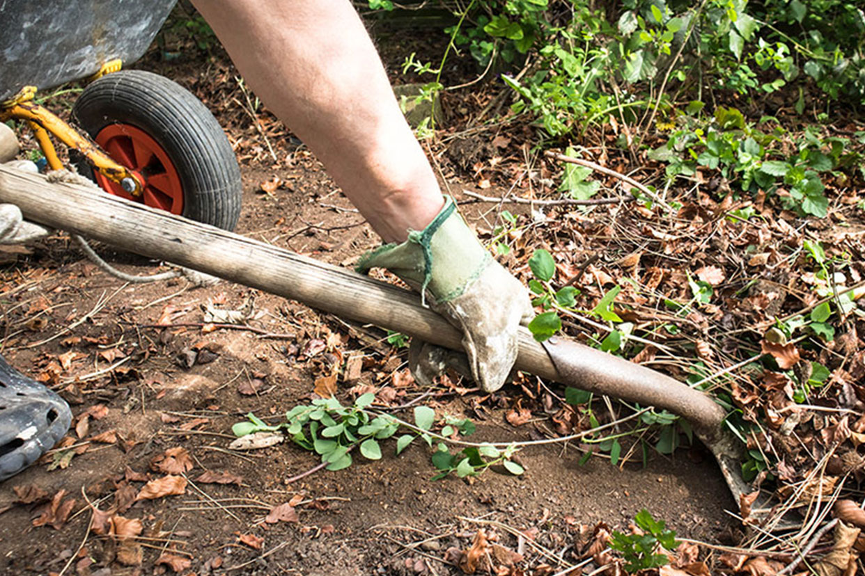 cobham-garden-clearance-Services.jpg