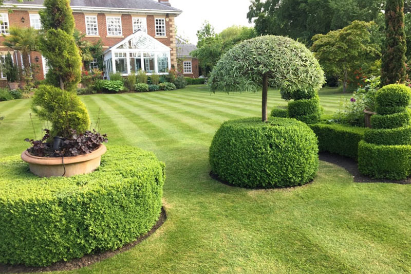 landscaping-services-in-esher-for-large-homes.jpg