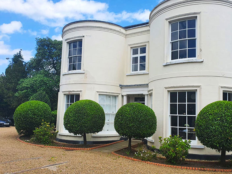 Pruned box hedge and privet bush at Surrey Estate