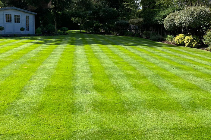 cobham-lawn-care.jpg