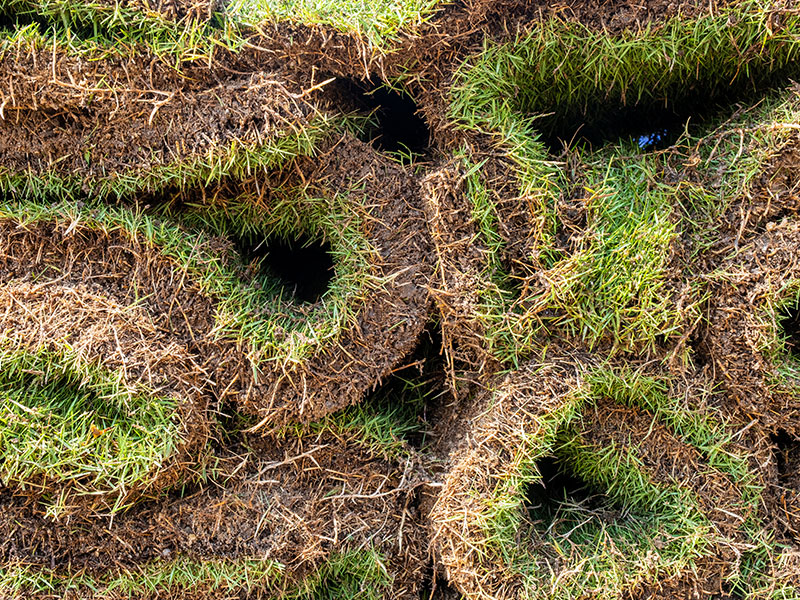 Locally supplied turf installed by CS Gardens