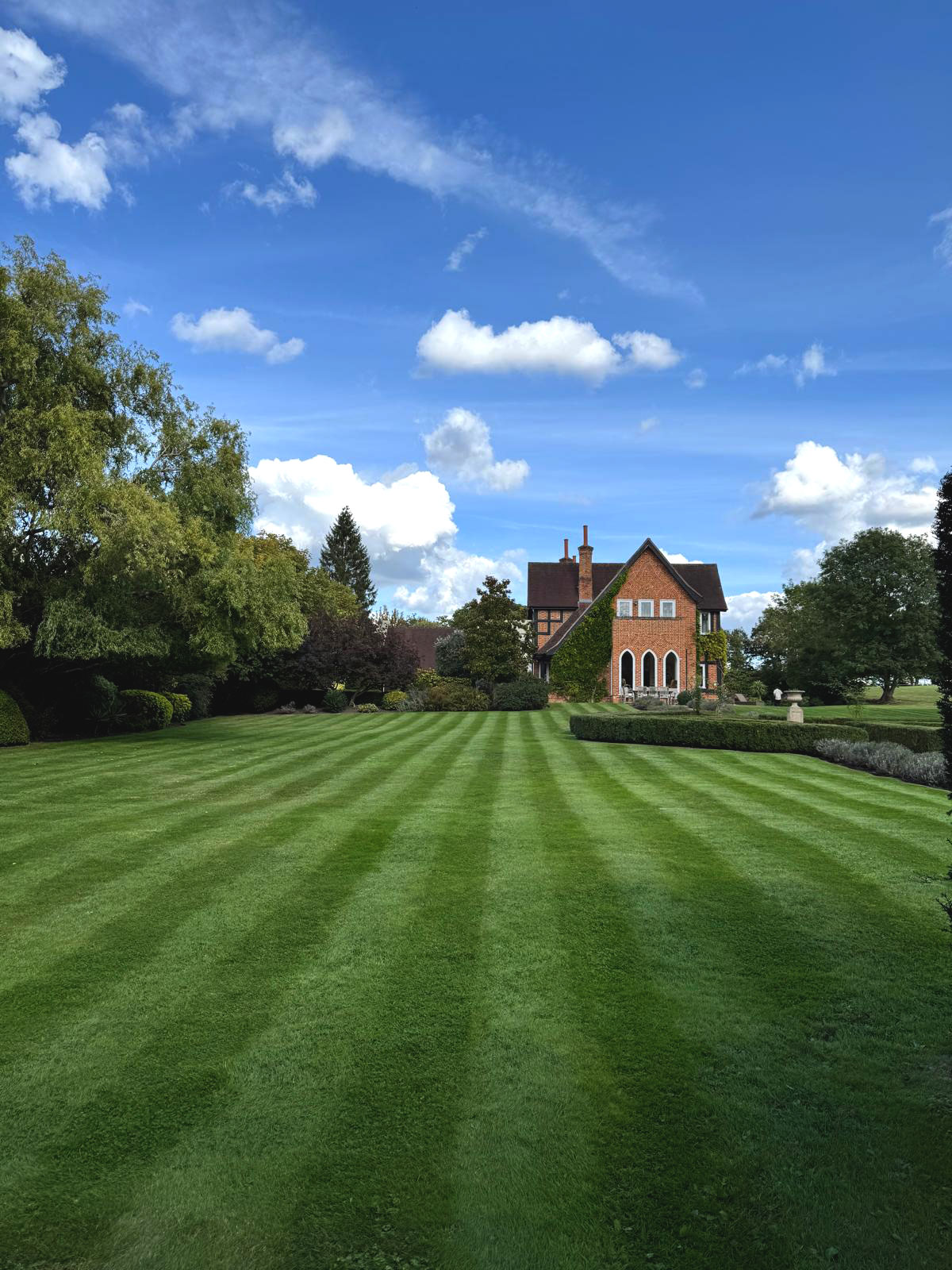 Garden maintenance in weybridge showing freshly mown lawn