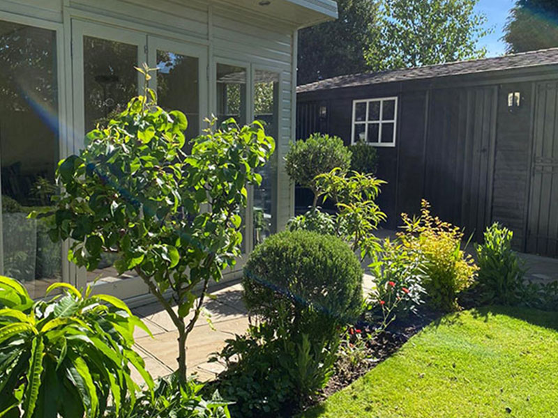 Expert planting of Shrubs outside garden Studio