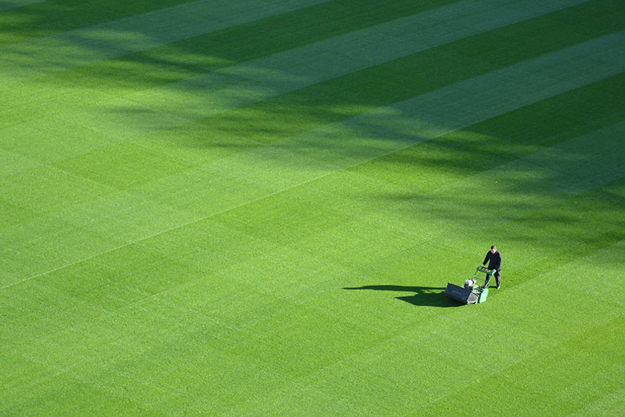 garden-maintenance-for-sports-clubs-and-public-spaces-in-cobham.jpg