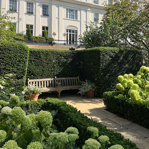 Professional hedge cutting for residential property