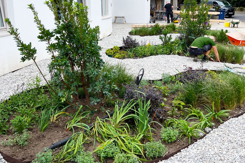 planting-services-in-cobham.jpg